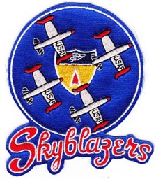 Bild von US Air Force Skyblazers Demo Team Abzeichen Patch